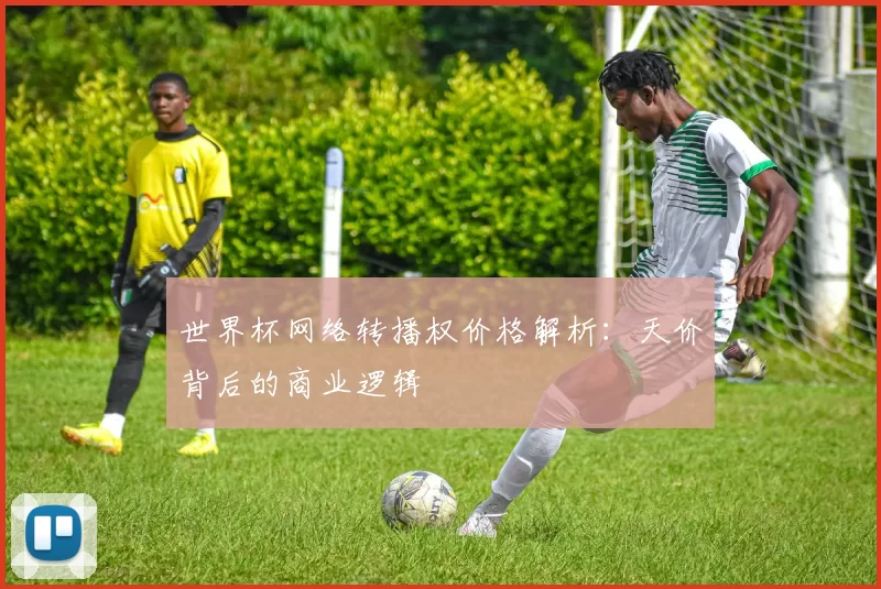 世界杯网络转播权价格解析：天价背后的商业逻辑