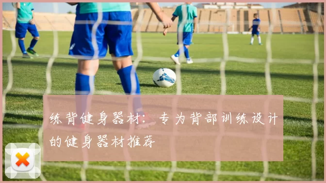 练背健身器材：专为背部训练设计的健身器材推荐