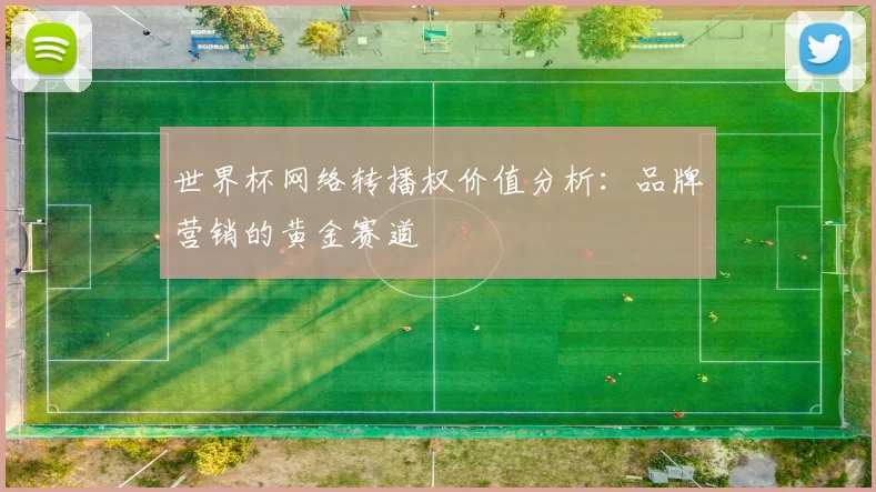 世界杯网络转播权价值分析：品牌营销的黄金赛道