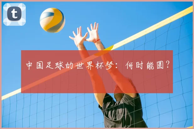 中国足球的世界杯梦：何时能圆？