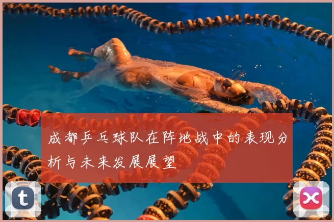 成都乒乓球队在阵地战中的表现分析与未来发展展望