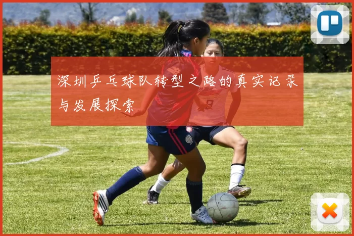 深圳乒乓球队转型之路的真实记录与发展探索