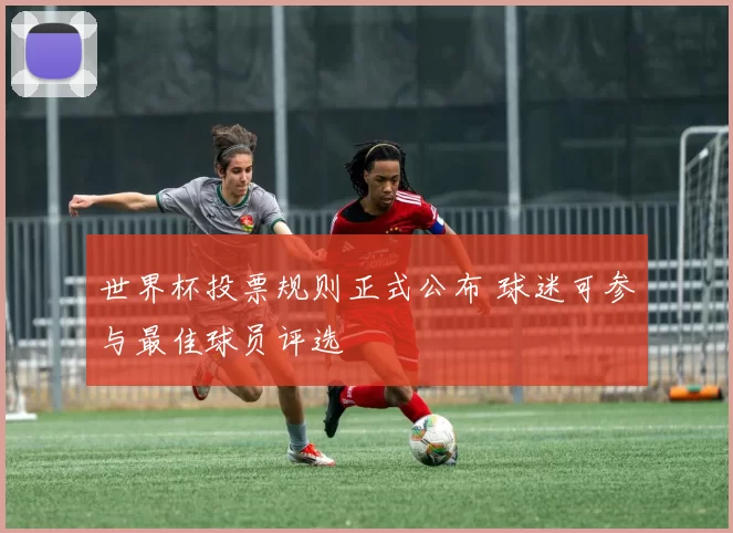 世界杯投票规则正式公布 球迷可参与最佳球员评选