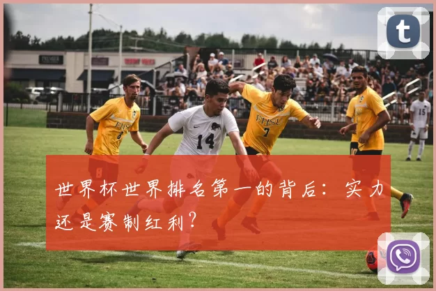 世界杯世界排名第一的背后：实力还是赛制红利？