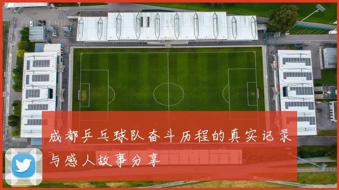 成都乒乓球队奋斗历程的真实记录与感人故事分享