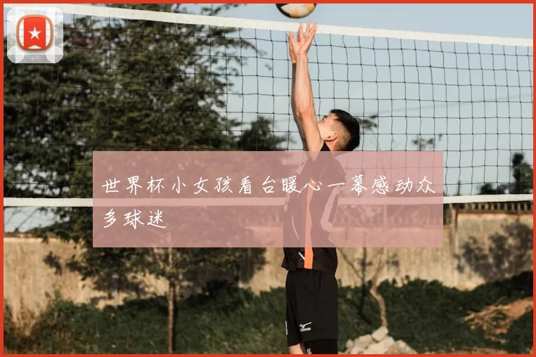世界杯小女孩看台暖心一幕感动众多球迷
