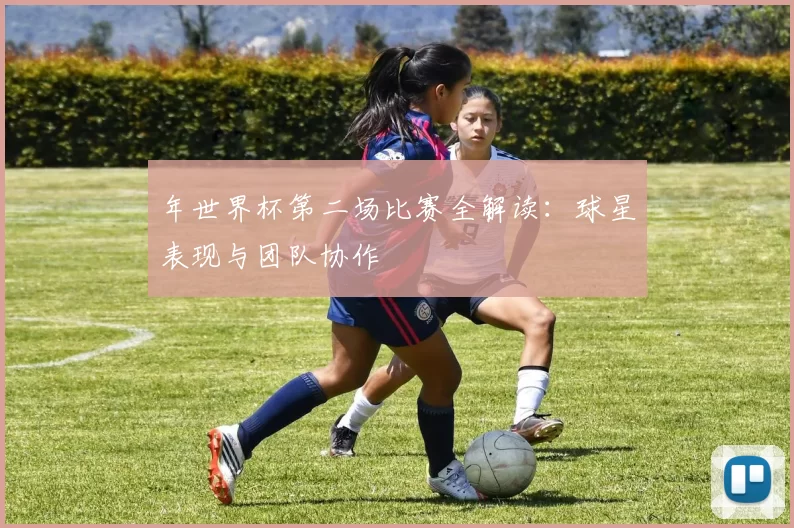 年世界杯第二场比赛全解读:球星表现与团队协作