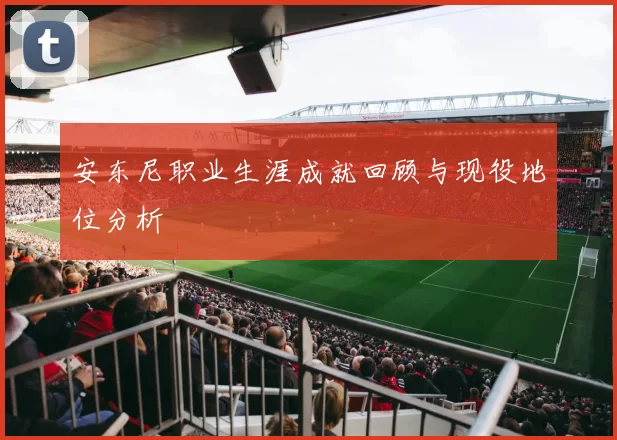 安东尼职业生涯成就回顾与现役地位分析