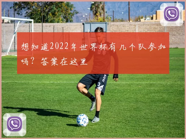 想知道2022年世界杯有几个队参加吗？答案在这里