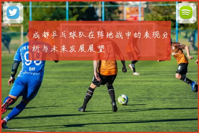 成都乒乓球队在阵地战中的表现分析与未来发展展望