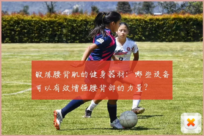 锻炼腰背肌的健身器材：哪些设备可以有效增强腰背部的力量？