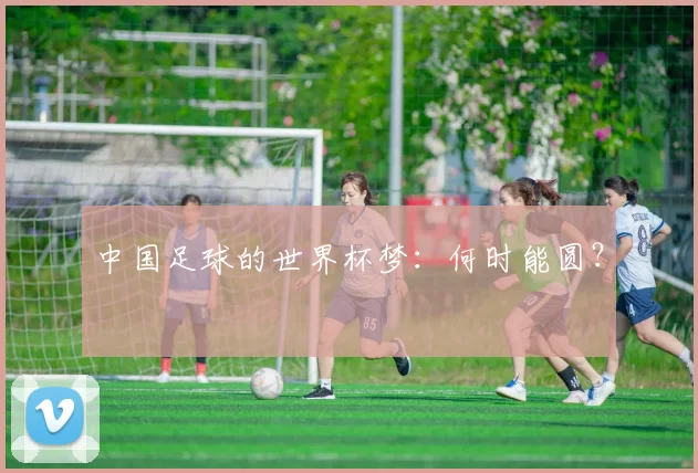 中国足球的世界杯梦：何时能圆？