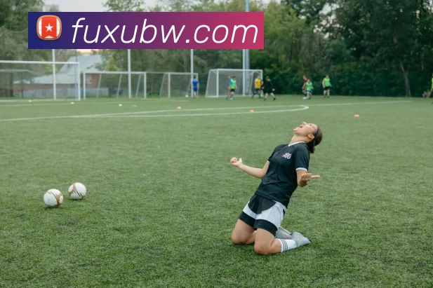 奖项图2